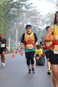 BIB: 11186
                            <button type="button" onclick="openModal(10412676)" class="btn btn-primary btn-sm float-right btn-popup" data-toggle="modal" data-target=".modal-high-quality">
                        <i class="fas fa-shopping-cart"></i> Add to Cart
                    </button>
                                            <button type="button" onclick="isThisMe(10412676, true)" class="btn btn-success btn-sm float-right btn-popup btn-isme hidden" data-toggle="tooltip" data-placement="bottom" title="นี่คือรูปของคุณใช่ไหม คลิกที่นี่เพื่อเอาเข้าอัลบั้ม">
                        <i class="fas fa-plus"></i> Add to album
                    </button>
                    <button type="button" onclick="isThisMe(10412676, false)" class="btn btn-warning btn-sm float-right btn-popup btn-isnotme hidden">
                        <i class="fas fa-ban"></i> Remove from album
                    </button>